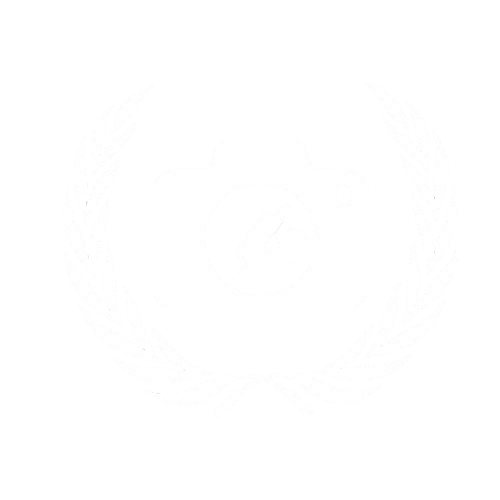 Committee 4 Logo